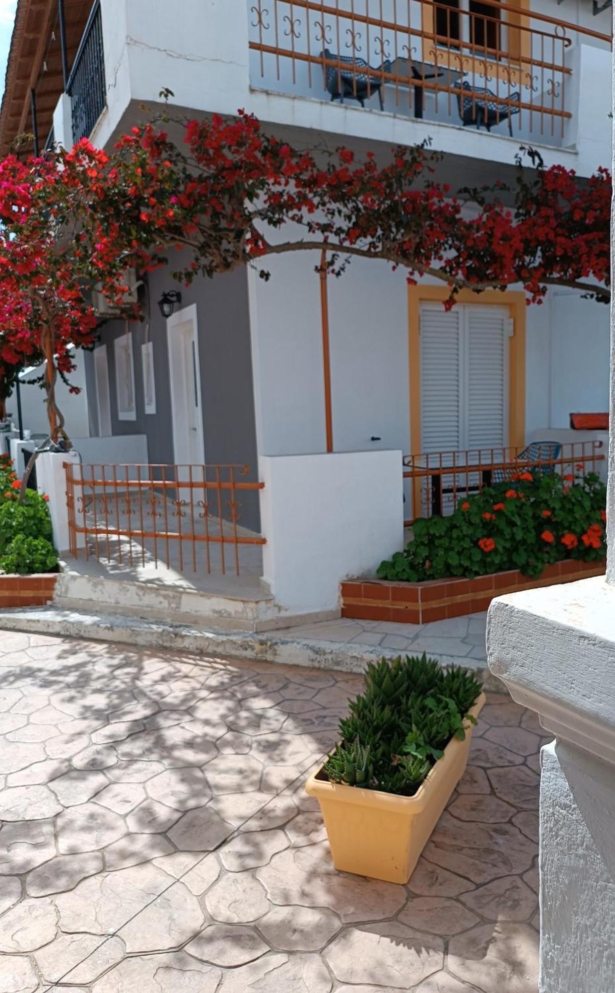 Sofia Beach Apartments Kávos Buitenkant foto