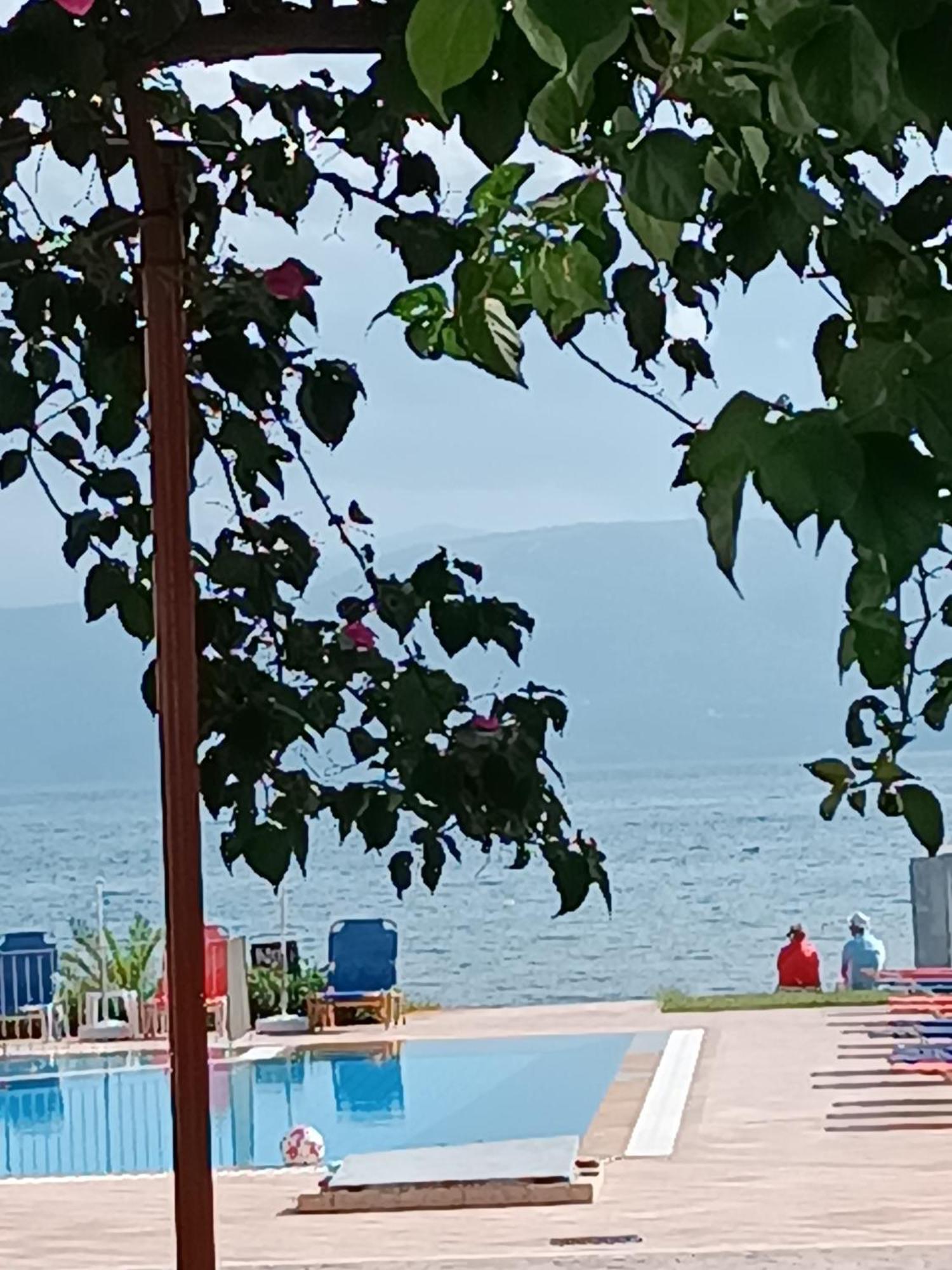 Sofia Beach Apartments Kávos Buitenkant foto